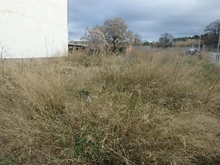 Solar en C/ Puig Negre, Forallac (Girona) 6