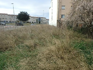 Solar en C/ Puig Negre, Forallac (Girona) 10