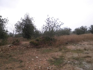 Suelo industrial en Pt. Molins, Roquetes (Tarragona) 7