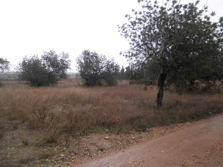 Suelo industrial en Pt. Molins, Roquetes (Tarragona) 8
