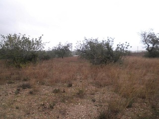 Suelo industrial en Pt. Molins, Roquetes (Tarragona) 9