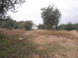 Suelo industrial en Pt. Molins, Roquetes (Tarragona) 10