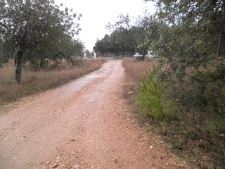 Suelo industrial en Pt. Molins, Roquetes (Tarragona) 11
