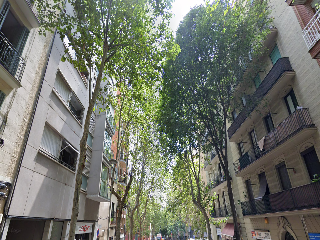 Local comercial en C/ Cartagena - Barcelona - 3