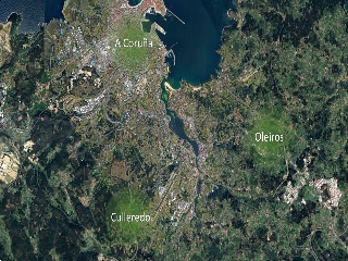 00590-0001 5