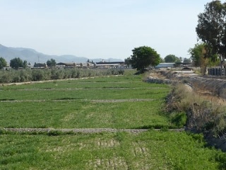 01610-0001 2