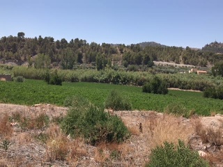 01611-0001 5