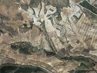 02038-0001 2