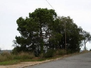02459-0001 2