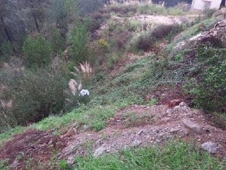 Otros en venta en Lloret De Mar de 232  m²