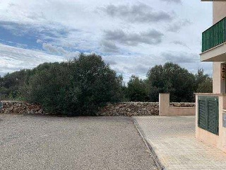 Otros en venta en Manacor
