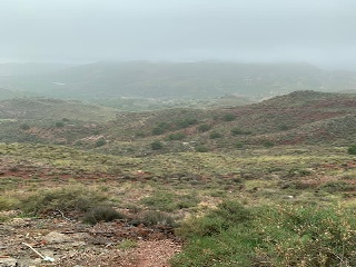 07655-0001 5