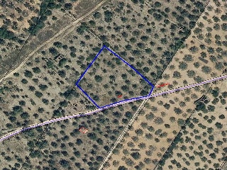 Otros en venta en San Rafael Del Río de 31400  m²