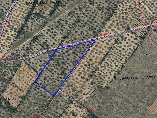 07923-0001 6