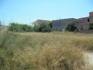 Otros en venta en Picassent de 1309  m²