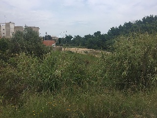 07933-0001 6