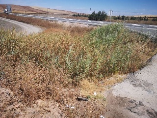 Otros en venta en Coronil de 0  m²