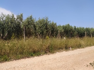 08063-0001 2