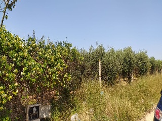 08063-0001 11