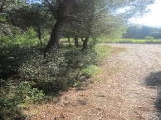 00531-0001 2