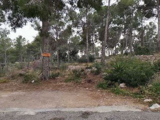00531-0001 4