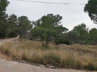 00531-0001 5