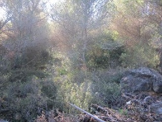 00531-0001 8