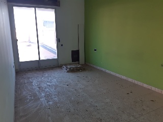 00499-0001 7