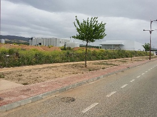 00478-0001 4