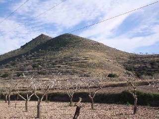 01658-0001 5