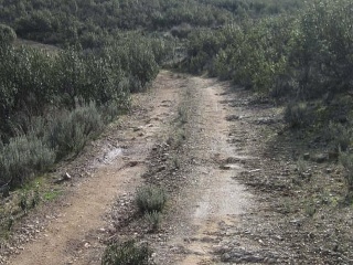 Otros en venta en Sevilleja De La Jara de 0  m²