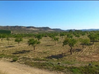 Otros en venta en Orihuela de 0  m²