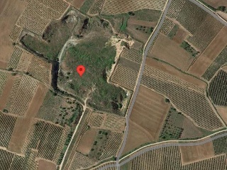 00541-0001 5