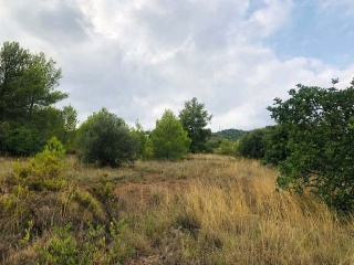 Otros en venta en Estivella de 0  m²