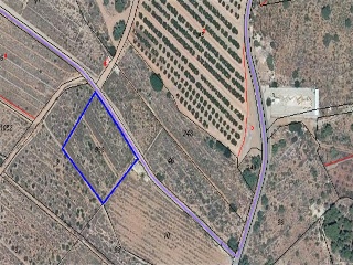01312-0001 3