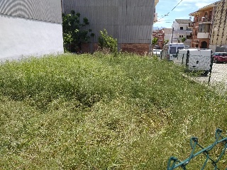 02139-0001 4