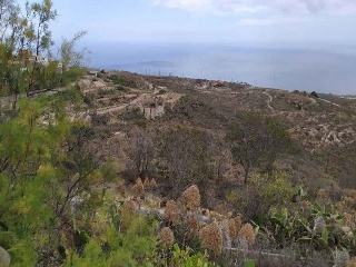 Otros en venta en Fasnia de 38324  m²
