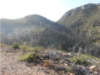 04747-0001 5