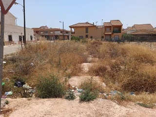 08168-0001 5