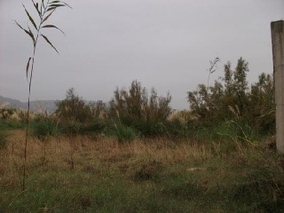 01510-0001 2