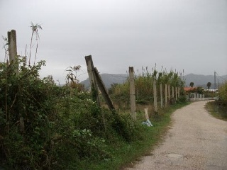 01510-0001 5