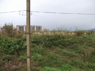 01510-0001 7