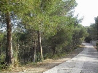 Pisos banco Canyelles