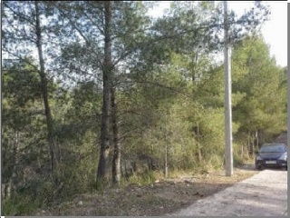 05648-0001 5