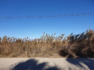 07830-0001 2