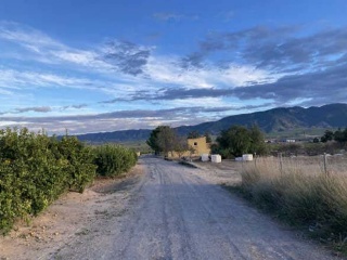 Pisos banco Librilla