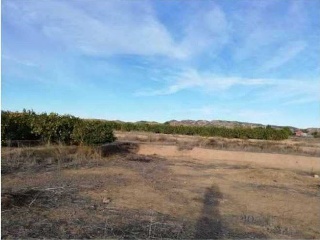 Otros en venta en Librilla de 1678  m²