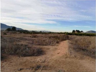 01787-0001 2