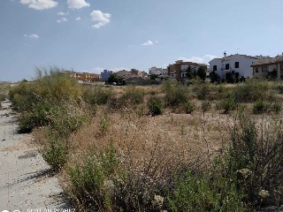 Otros en venta en Láchar de 7277  m²
