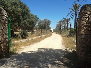 Otros en venta en Llucmajor de 1341  m²